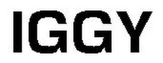 IGGY logo
