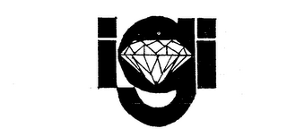 IGI logo
