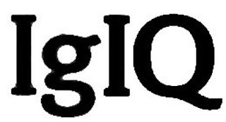 IGIQ logo