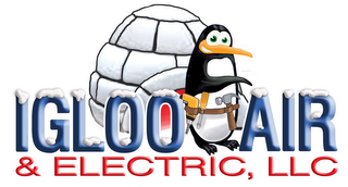 IGLOO AIR & ELECTRIC, LLC logo