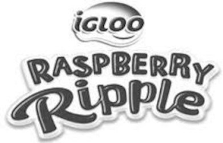 IGLOO RASPBERRY RIPPLE logo