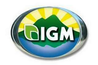 IGM logo