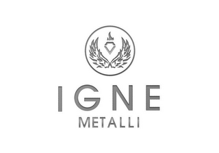 IGNE METALLI logo