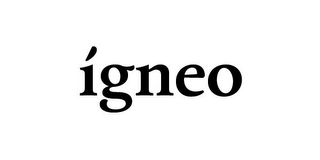 IGNEO logo