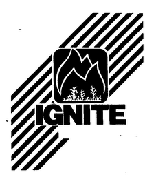 IGNITE logo