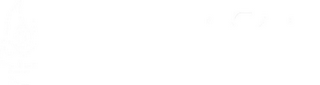 IGNITE logo