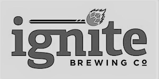 IGNITE BREWING CO logo