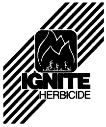 IGNITE HERBICIDE logo