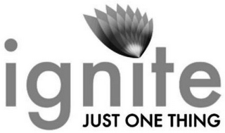 IGNITE JUST ONE THING logo