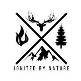 IGNITED BY NATURE logo
