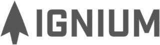 IGNIUM logo