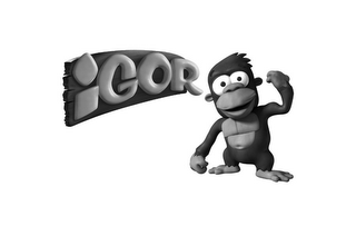 IGOR logo