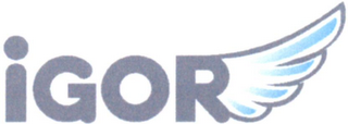IGOR logo