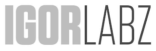 IGORLABZ logo