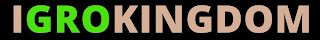 IGROKINGDOM logo