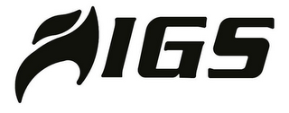 IGS logo