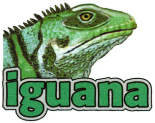 IGUANA logo