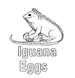 IGUANA EGGS logo