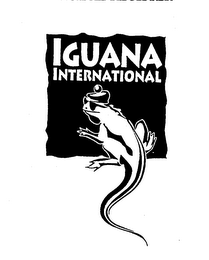 IGUANA INTERNATIONAL logo