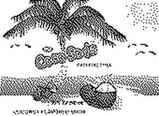 IHA COCO SODA CAFFINE FREE COCONUT FLAVORED SODA logo