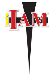 IIAM logo