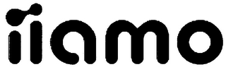 IIAMO logo
