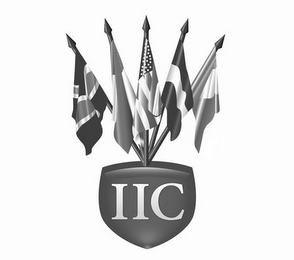 IIC logo