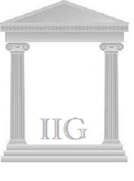 IIG logo