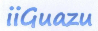 IIGUAZU logo