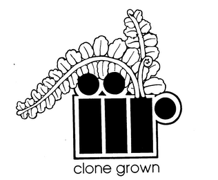 IIR CLONE GROWN logo