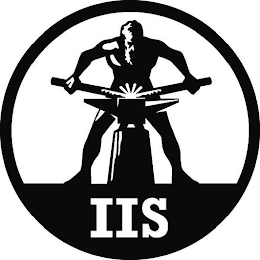 IIS logo