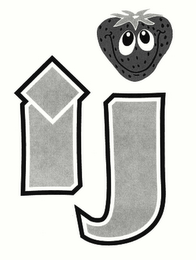 IJ logo