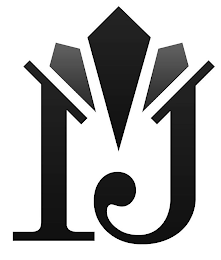 IJ logo