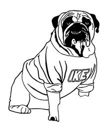 IKE logo