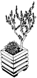 IKEBANA-BRAND POTTING SOIL logo