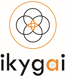 IKYGAI logo