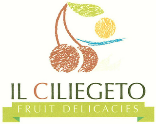 IL CILIEGETO FRUIT DELICACIES logo