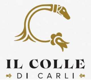 IL COLLE DI CARLI logo
