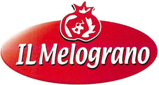 IL MELOGRANO logo