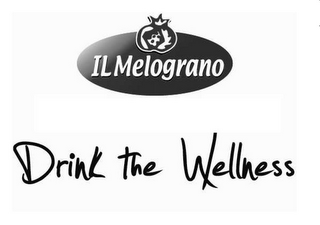 IL MELOGRANO DRINK THE WELLNESS logo