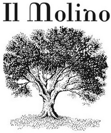 IL MOLINO logo