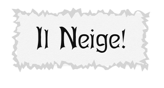 IL NEIGE! logo