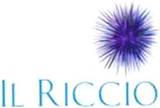 IL RICCIO logo