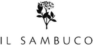 IL SAMBUCO