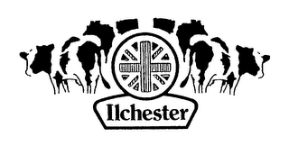 ILCHESTER logo