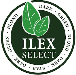 ILEX SELECT DARK · GREEN · BLOND · DARK · STAR · DARK · GREEN · BLOND logo