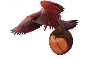 ILLINOIS FALCONS logo