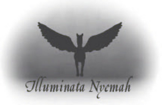 ILLUMINATA NYEMAH logo