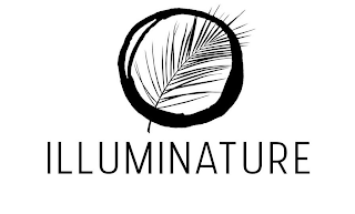ILLUMINATURE logo