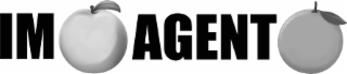 IM AGENT logo